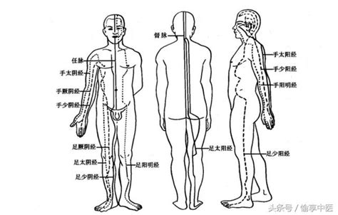 三陽三陰|十二經脈總結，附高清經絡圖！挺詳細的，一般人也看得懂，不妨。